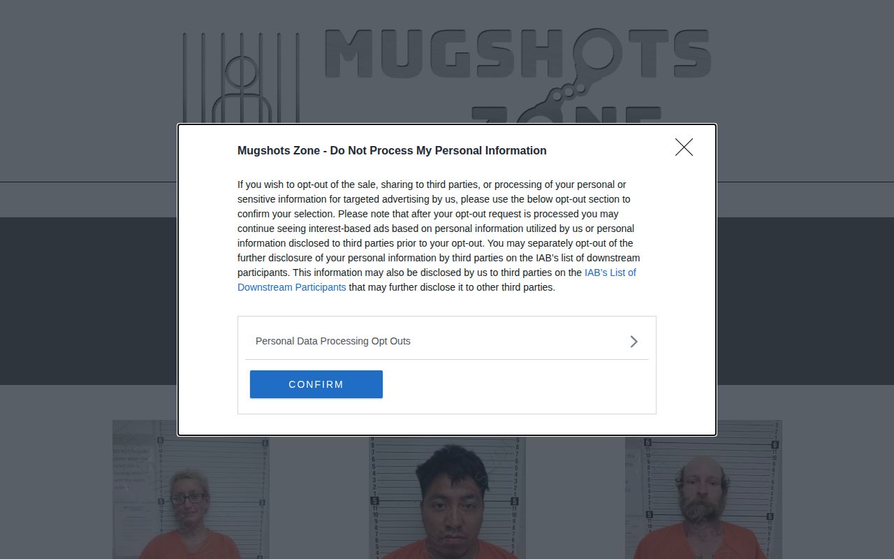 Unofficial Wayne County mugshot archive interface